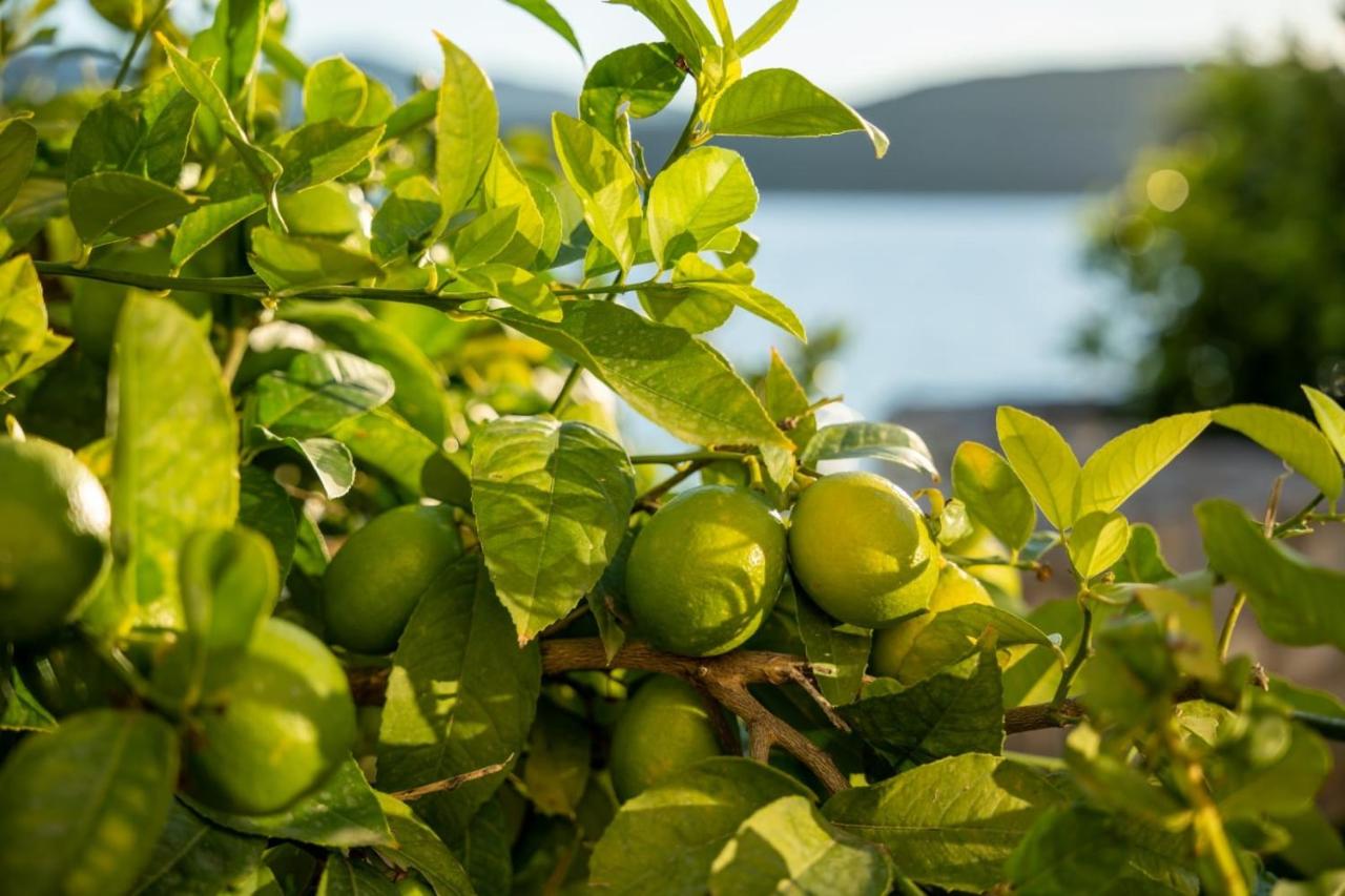 Apartment mit Meerblick