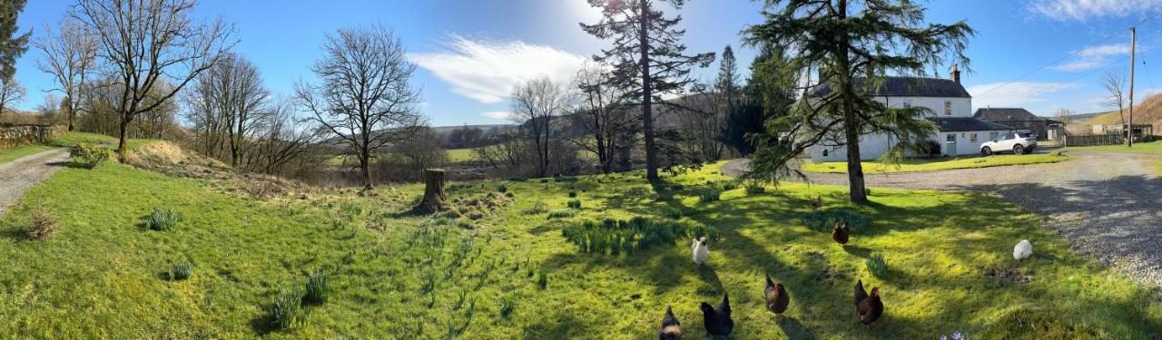 Billholm Riverside Retreat - B&B Bentpath
