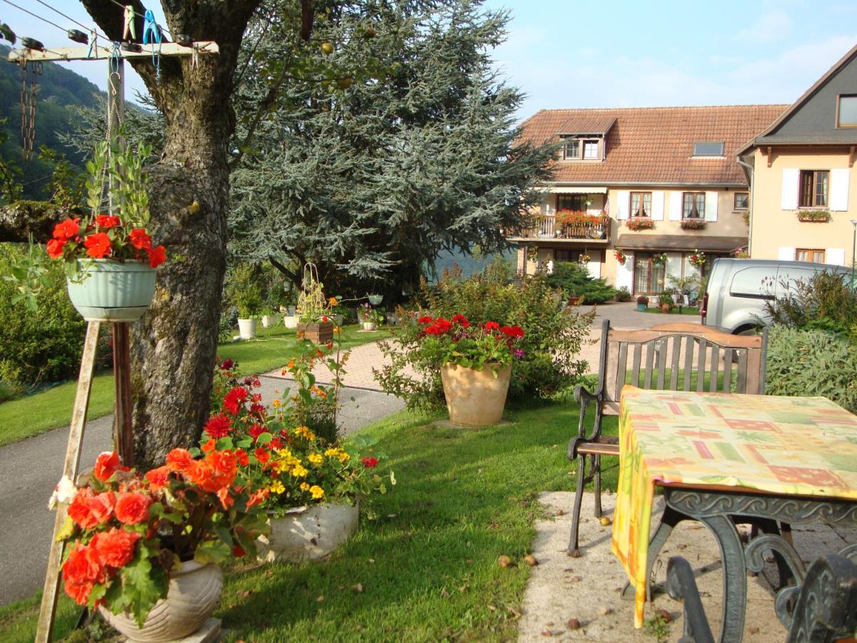 Gîte Les Hirondelles F2 - Bed and Breakfast Sainte-Marie-aux-Mines