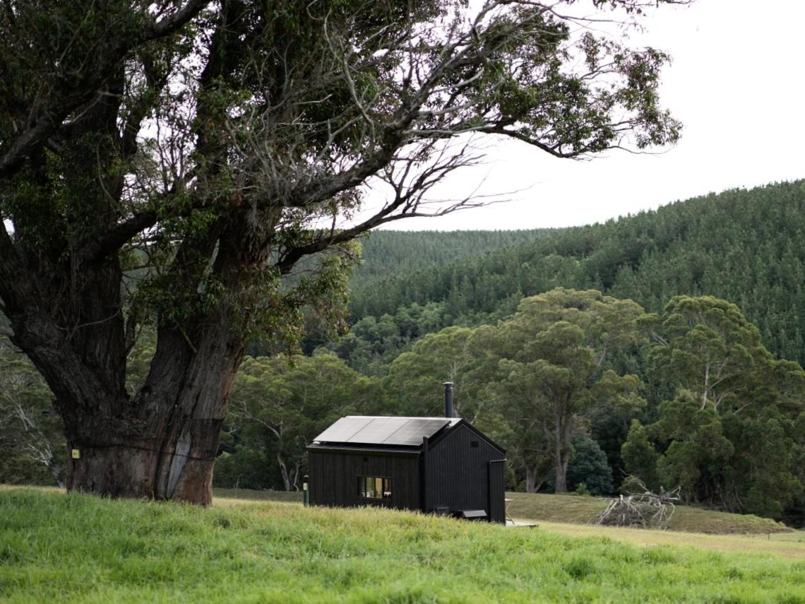 Off-Grid Cabin with Valley Views and Hot Tub - Pepe - B&B Tarra Valley