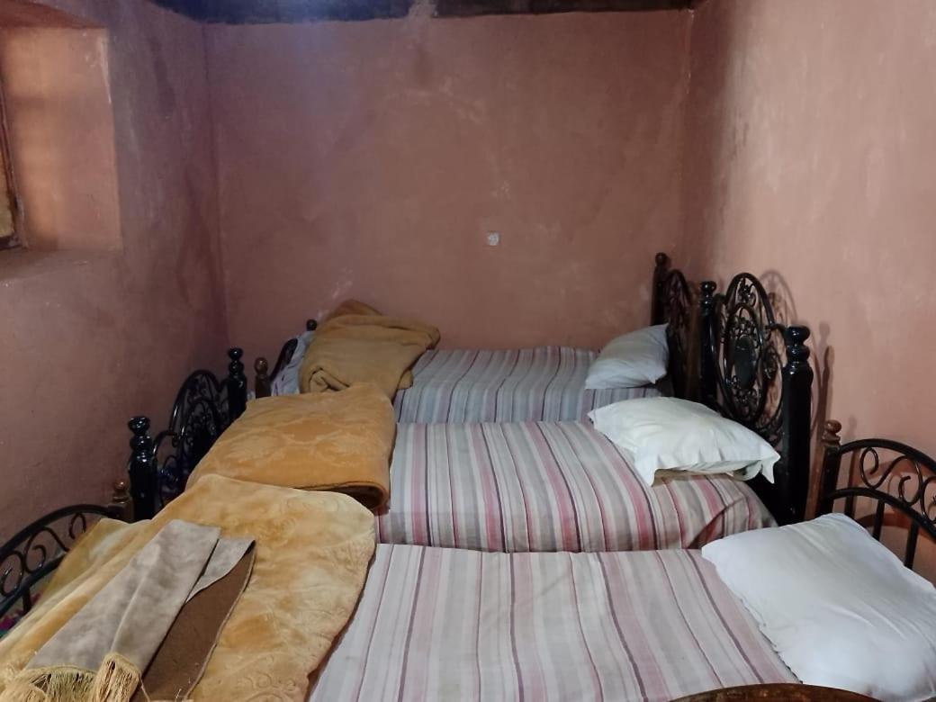 Gemischter Schlafsaal mit 10 Betten