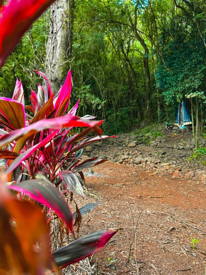 Bosque Shalom - Chambres d’hôtes