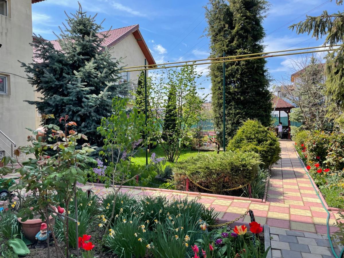 Vila Negru - B&B Costineşti