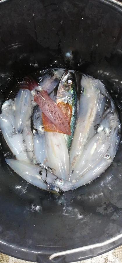 Apartment Nora - modern cozy apartment with FREE PARKING and TERRACE - Ferienwohnung Zadar