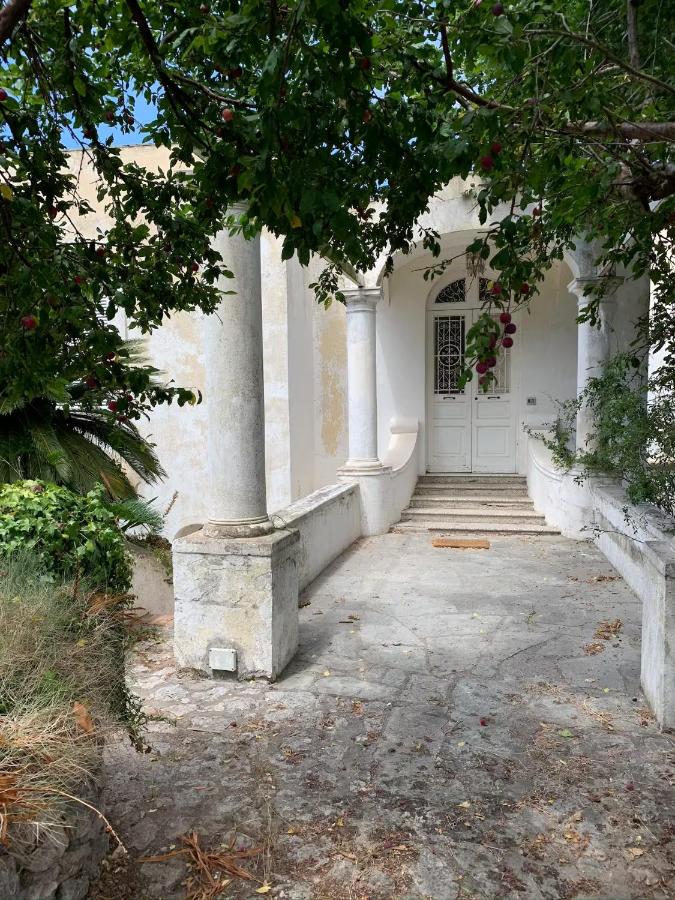 Cesina Home - B&B Capri