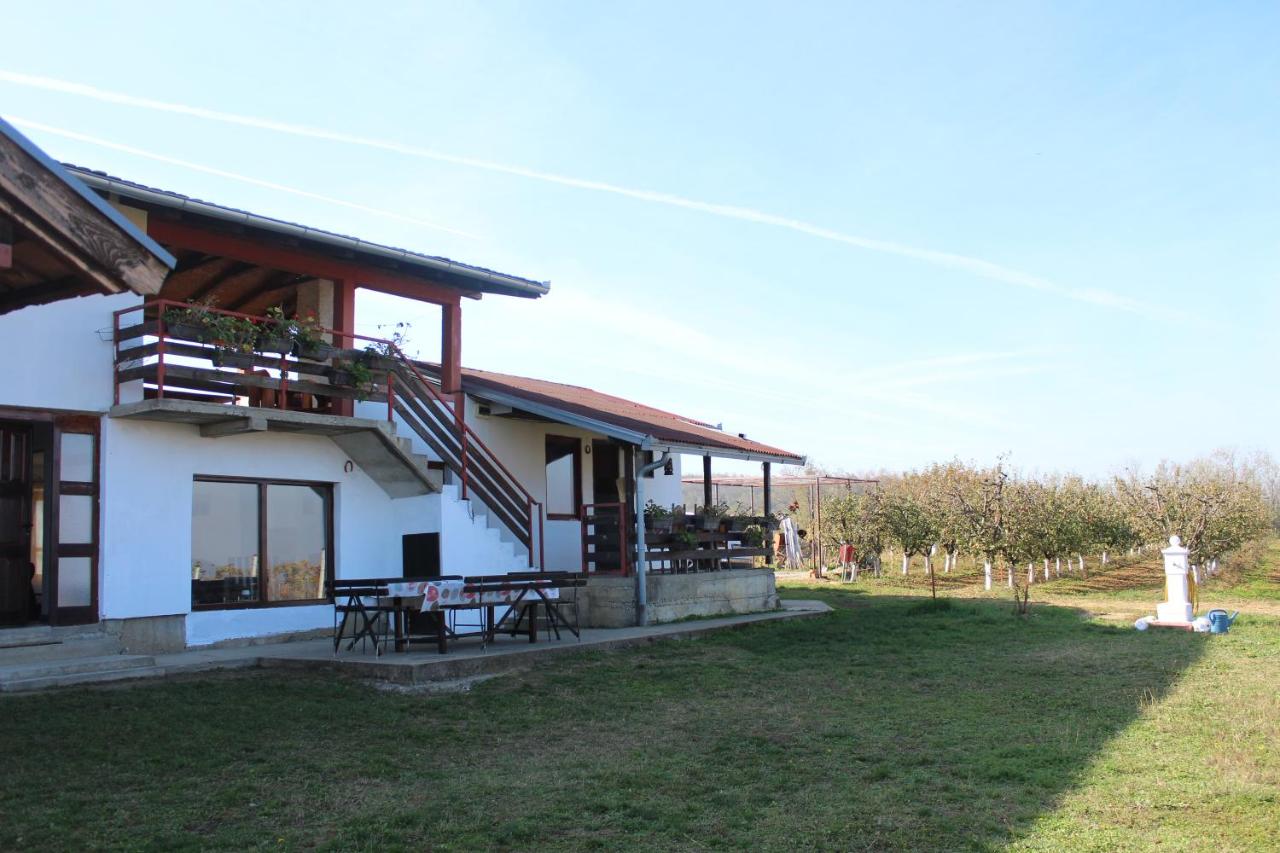 Salaš Belo Brdo - B&B Čerević