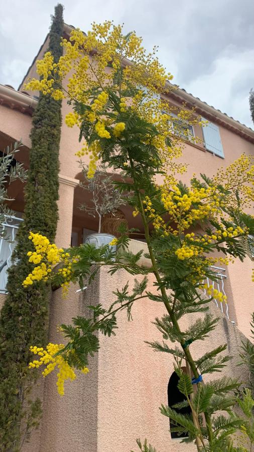 Chambre d'hôtes "tendresse" dans maison provençale - B&B