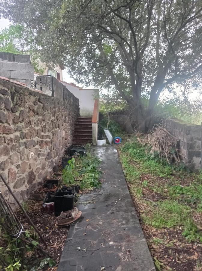 i giardini di Ailobran - B&B Narbolia
