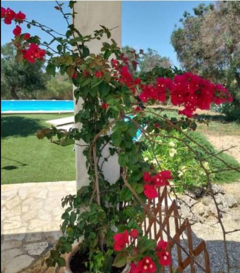 Villa del Saraceno - B&B Serranova