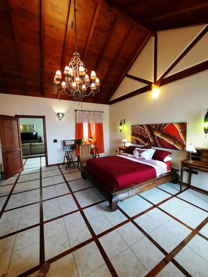 Raíz Drago - B&B Icod de los Vinos