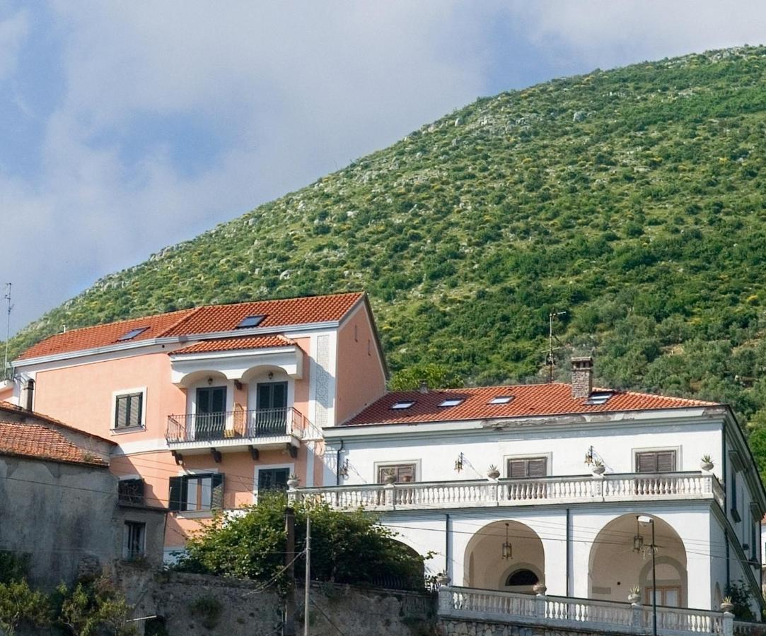 Farfalle E Gabbiani - B&B