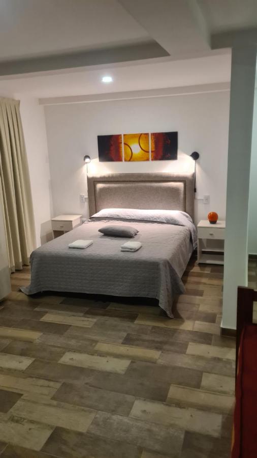 Paso aristides mendoza!! - Ferienwohnung