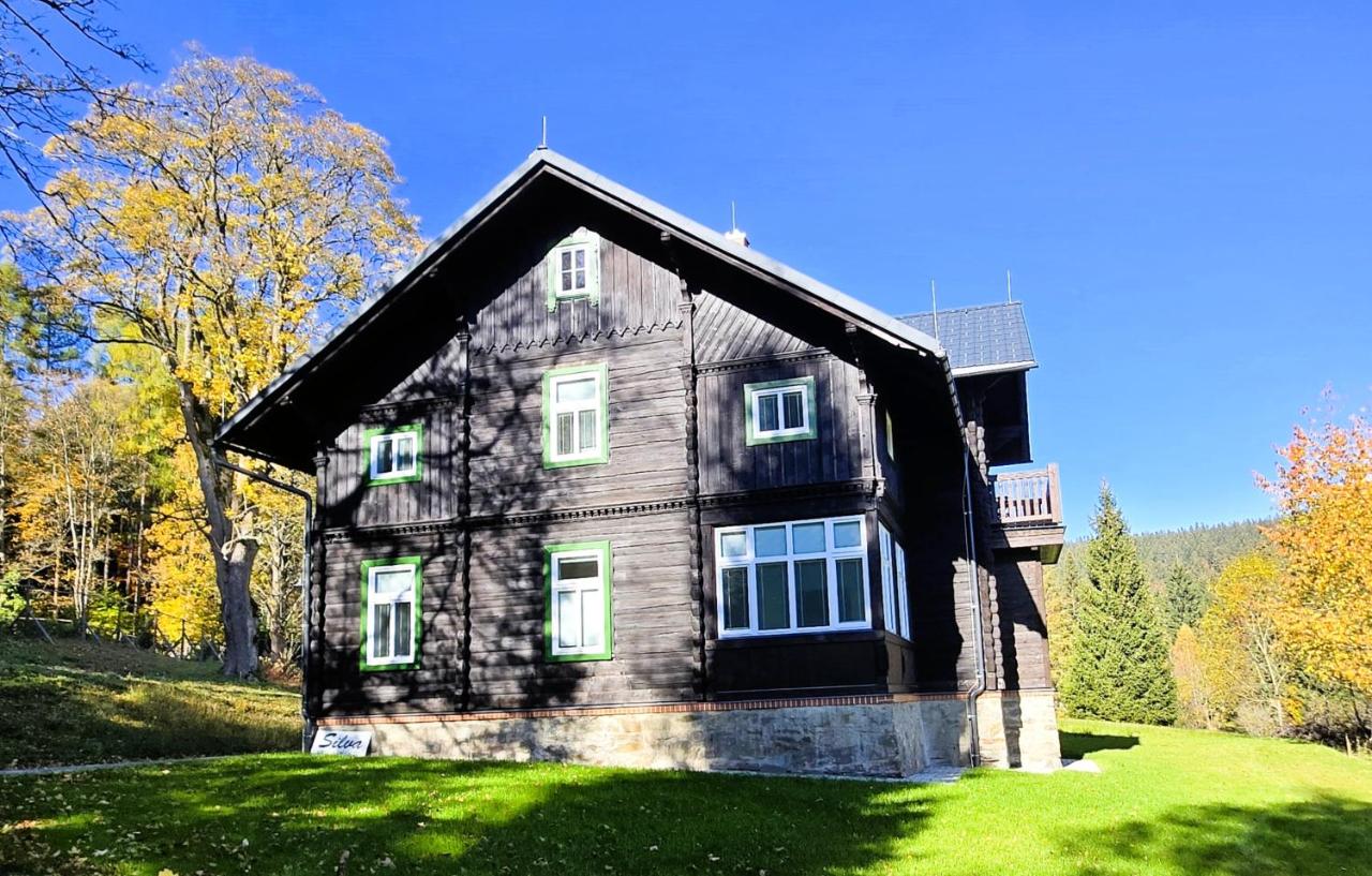 Vila Silva Karlova Studánka - Bed and Breakfast