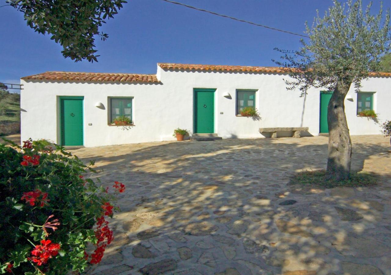 Sa Crescia Ezza - Ferienwohnung Berchiddeddu