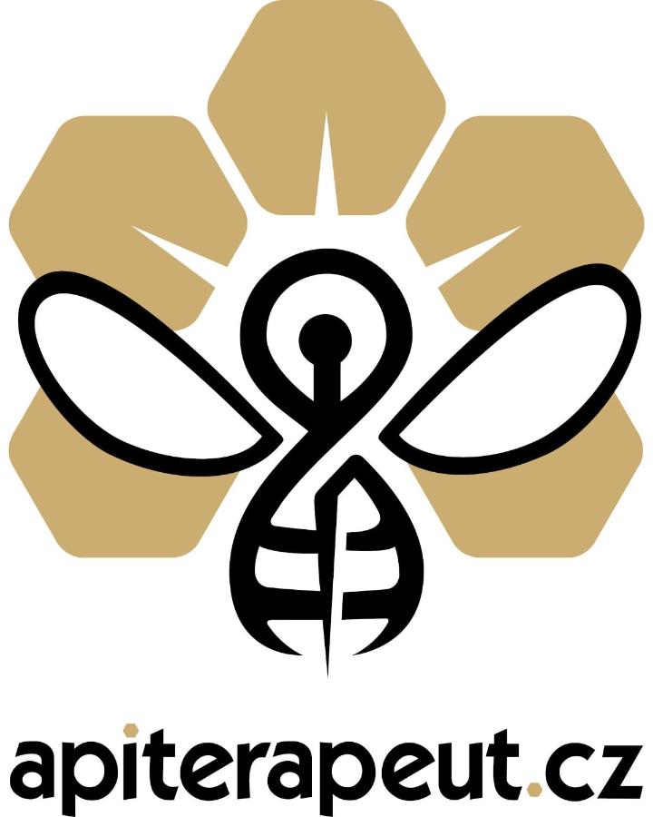 Wellness pobyt na Včelí lázně - ApiSpa - apiterapeut-cz - 5 procedur - Ferienwohnung