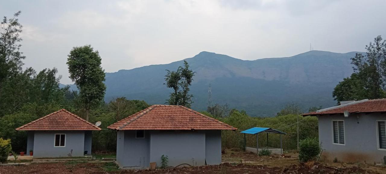 Coffee Cozy Homestay - Chambres d’hôtes