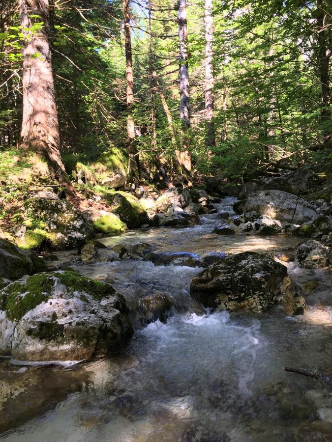 Cozy Private Cabin in the heart of Triglav National Park - B&B