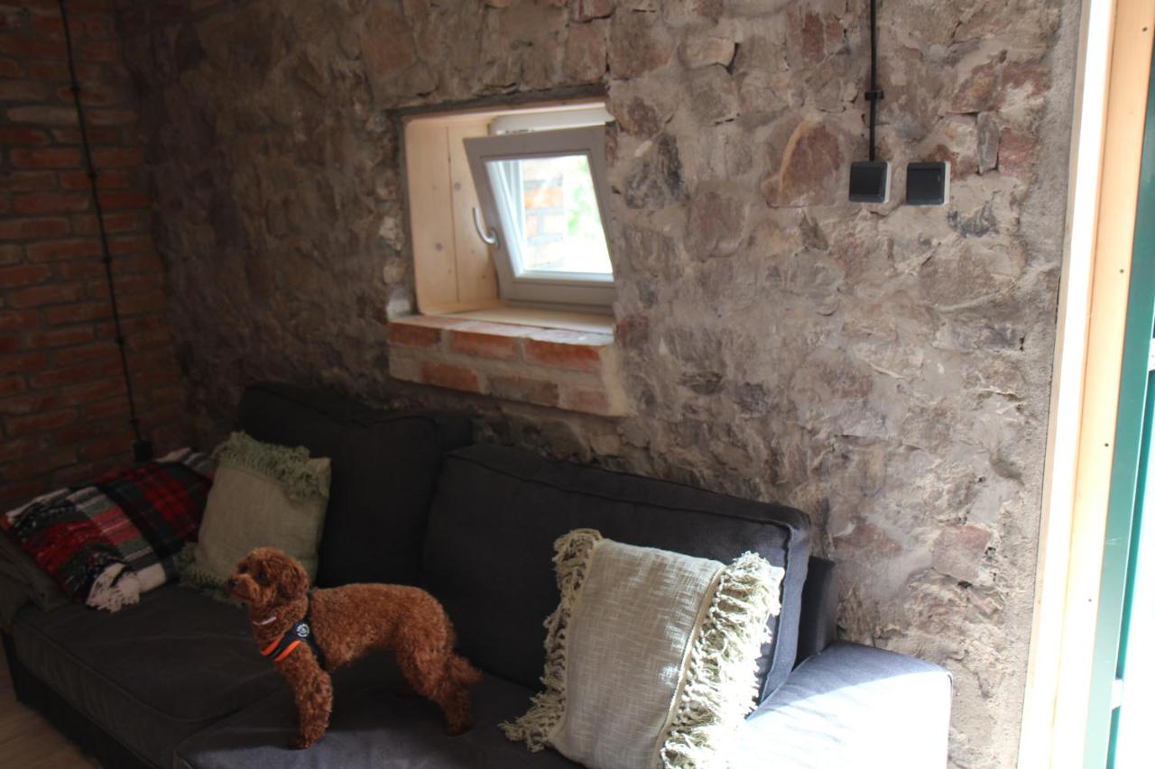 Appartement Premium 1 Chambre 