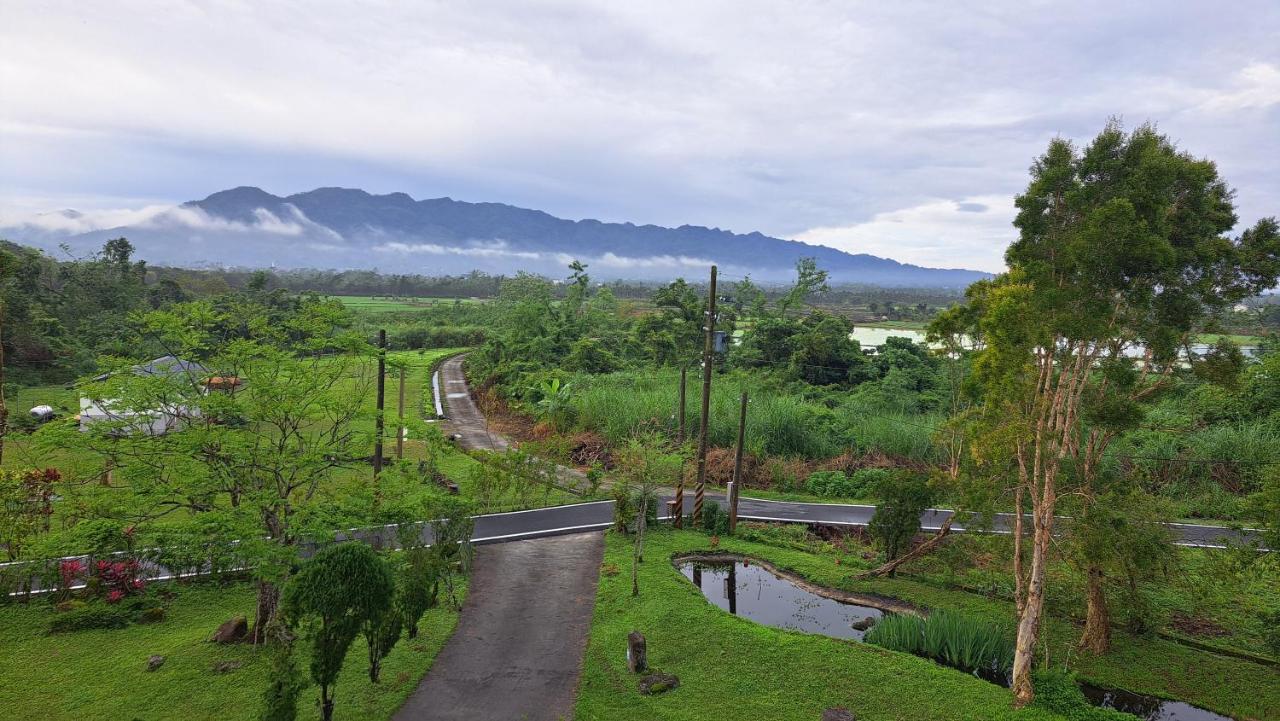 Green Forest Homestay - B&B
