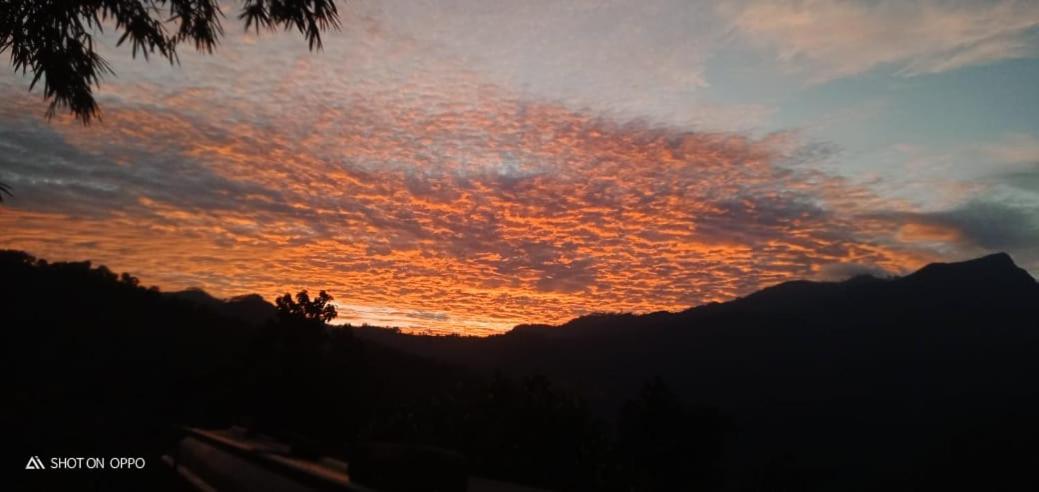 Relax Mountain Guest Inn Badulla - B&B