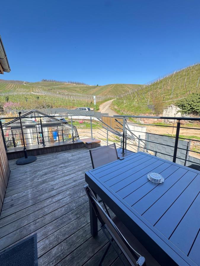 Le cocon du «Katzelberg» à 10mn de Colmar - Ferienwohnung