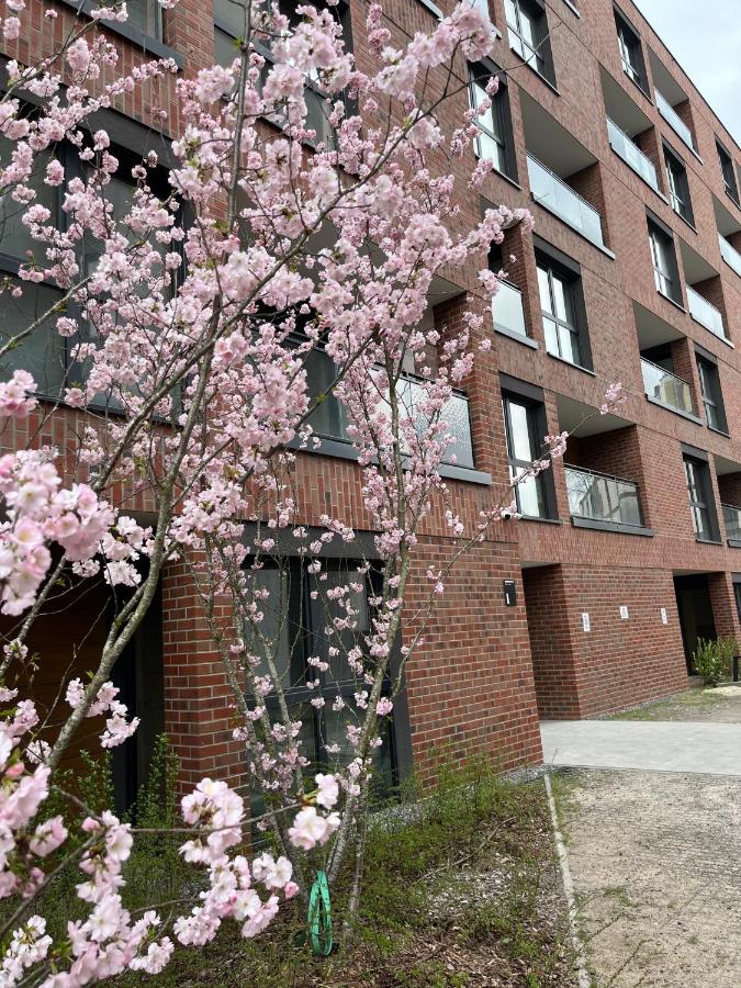 Tropical Novum Apartment - Krakow Old Town - B&B