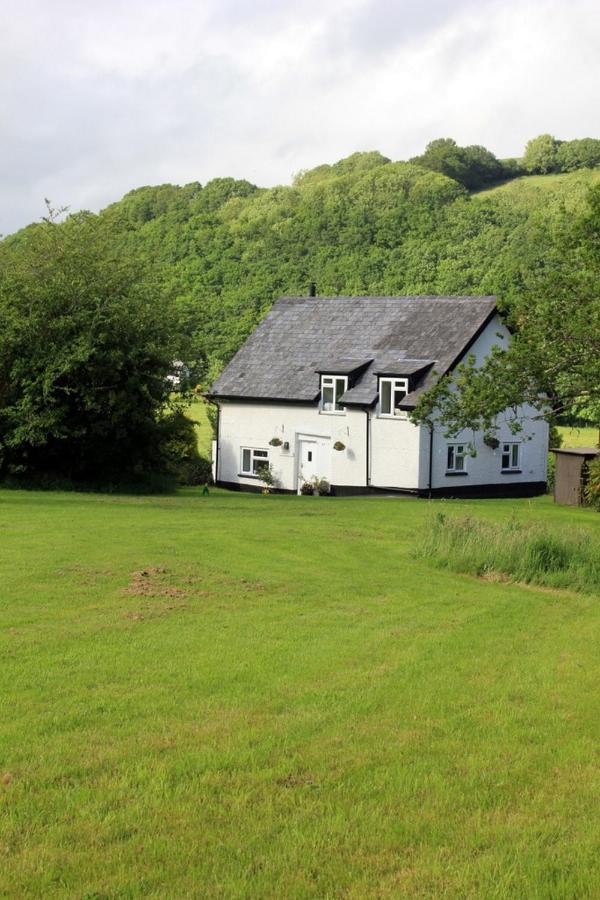 Beautiful Dartmoor cottage overlooking vineyard - B&B