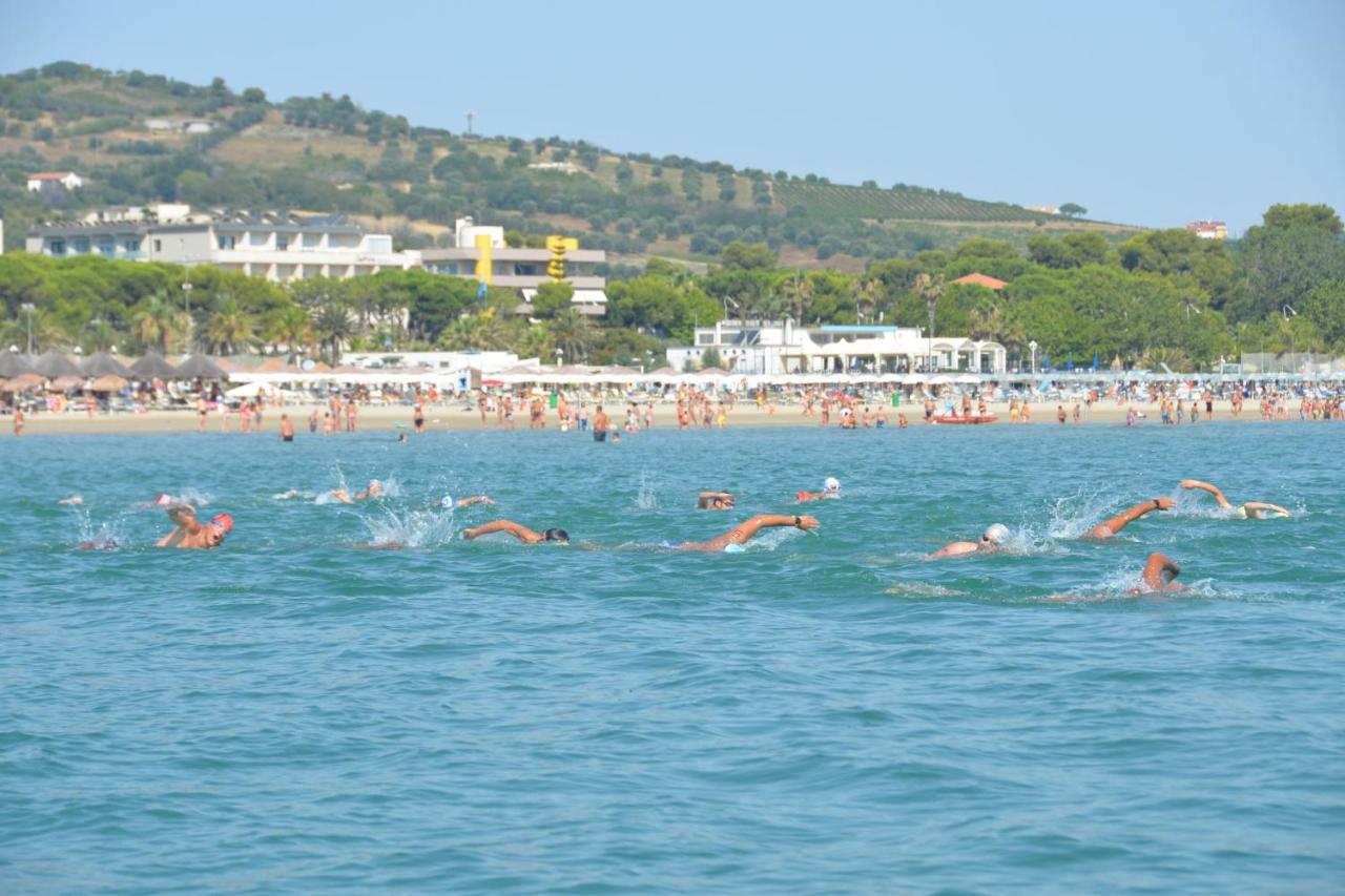 L T MiRAMARE - B&B Giulianova
