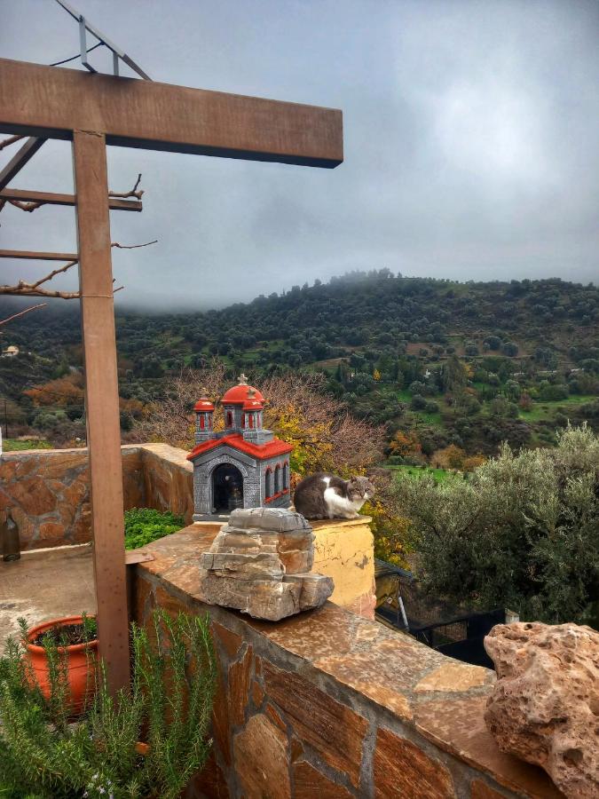 Cretan Oasis - Bed and Breakfast Magarikári