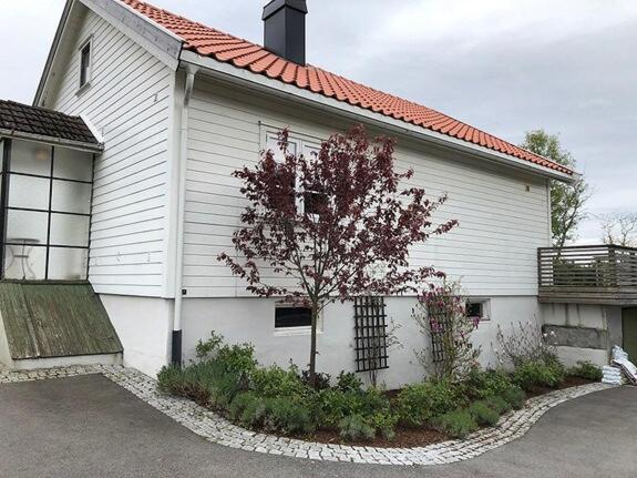 Cozy house with sea view at Husvik, 3 bedrooms - B&B