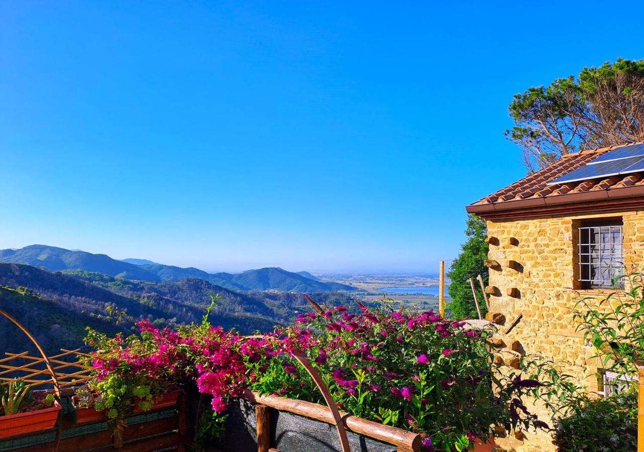 Appartamento con 1 Camera da Letto e Vista Mare