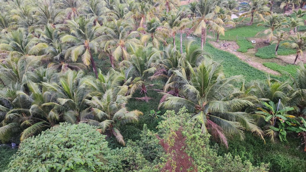 Coconut Garden H - B&B