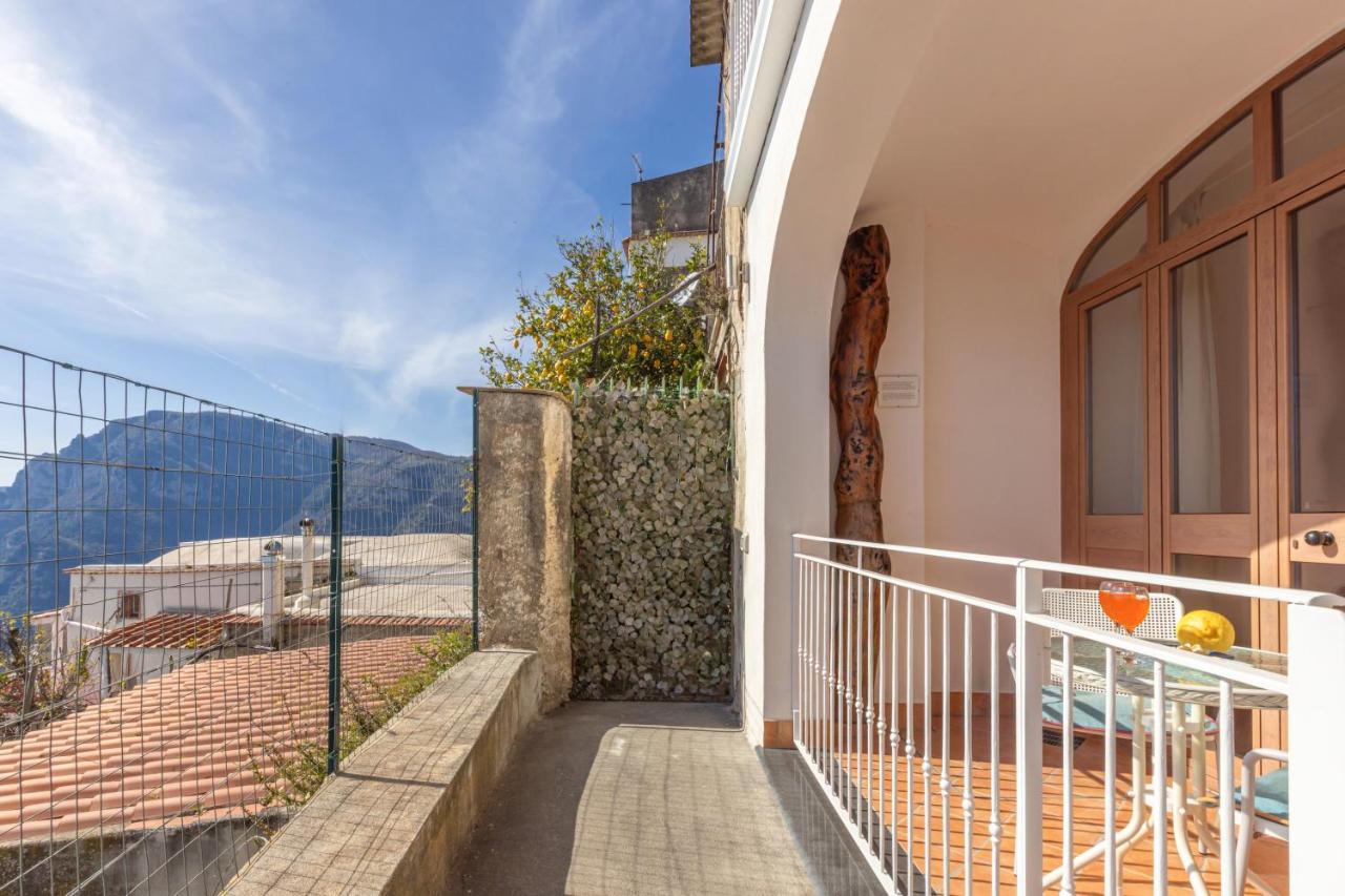 Appartement - Rez-de-Chaussée