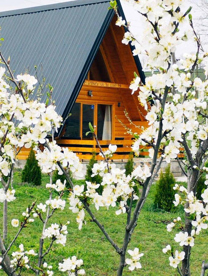 Brvnara Kao na dlanu - B&B