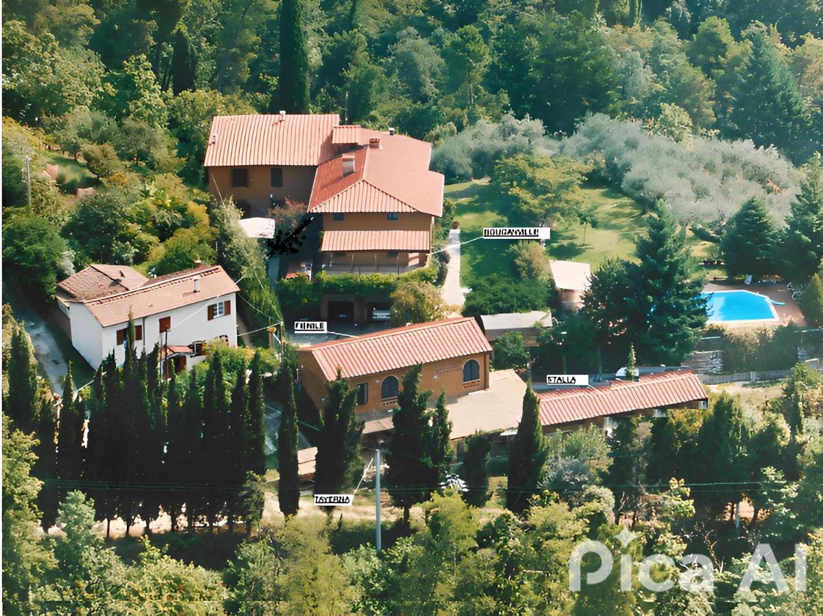IL CARNASCIALE PIEVE di CAMAIORE - Fienile - B&B Camaiore