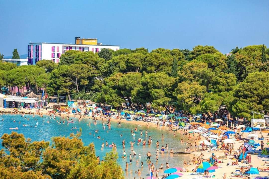Luna apartment in Biograd center - B&B