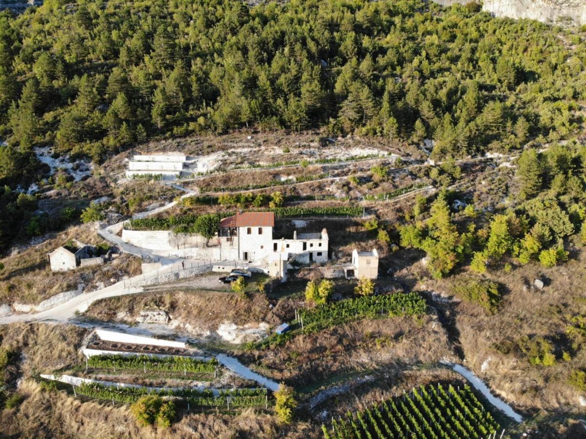 Carpenter Wineyard - B&B