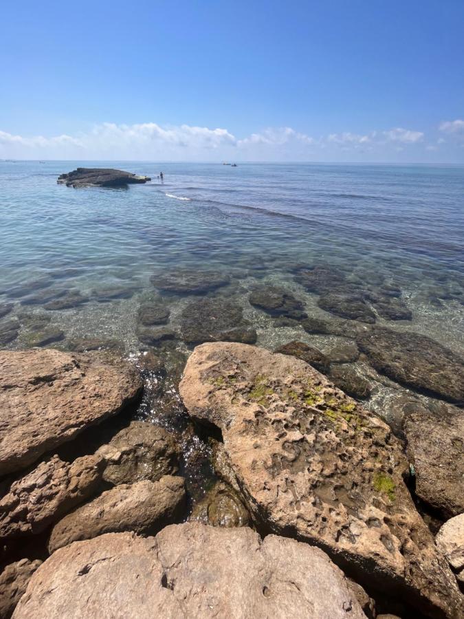 The seaside villa - Anzio - B&B Anzio