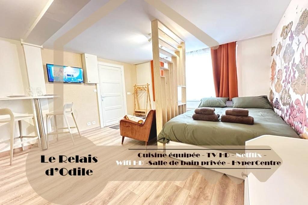 LeRelaisdOdile Studio - Le charme au cœur de ville - Ideal Couple & Travailleurs - Bed and Breakfast