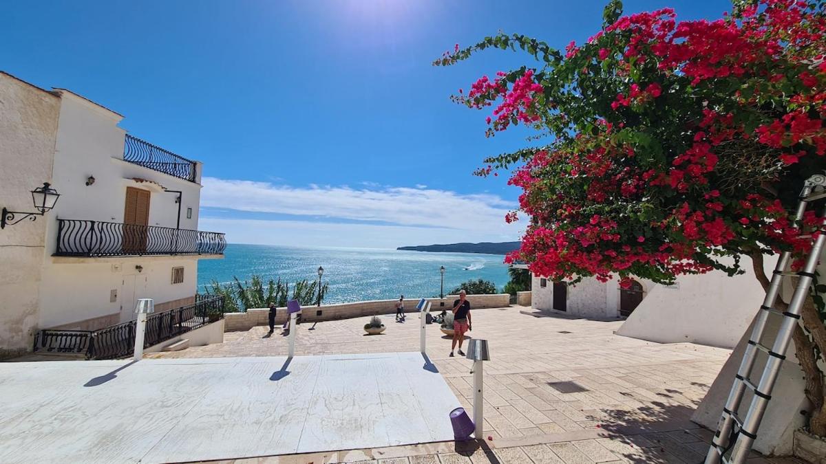 La finestra sul mare nel centro storico - Chambres d’hôtes Vieste