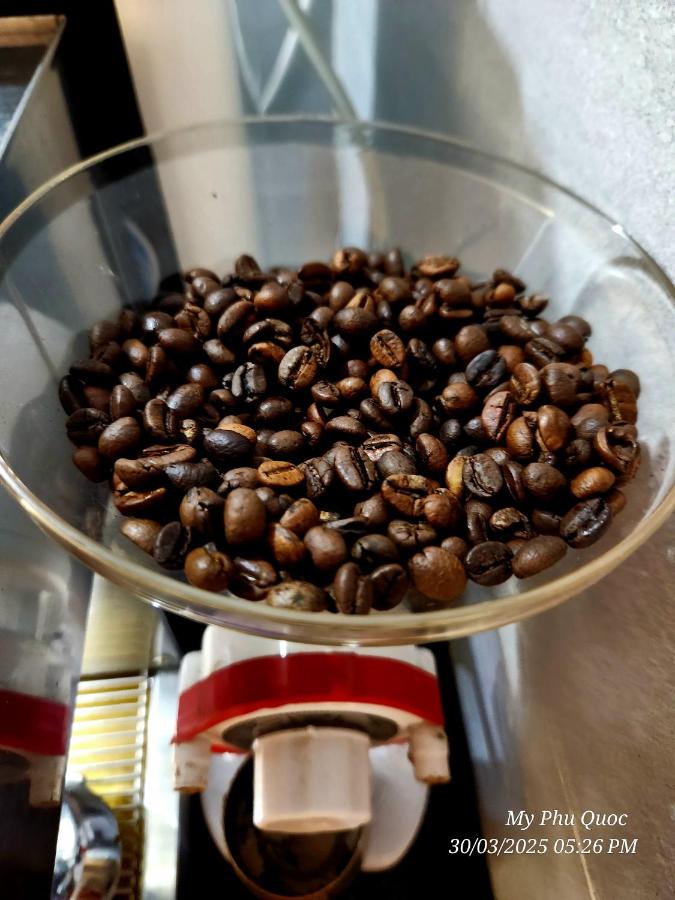 Mi Amor Ocean Penthouse - 3 minutes to the beach - Downtown - B&B Phu Quoc