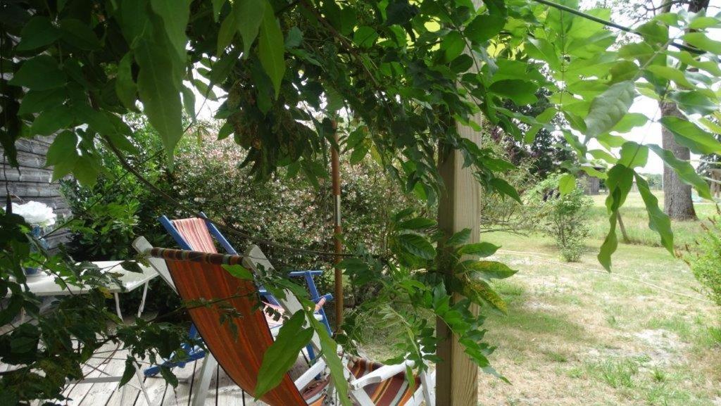 L atelier de PELLICA - Chambres d’hôtes Lit-et-Mixe