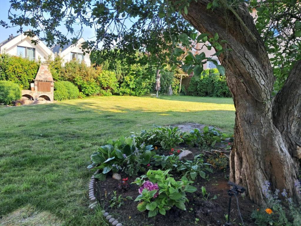 Gościniec Nad Złotą Rybką - B&B