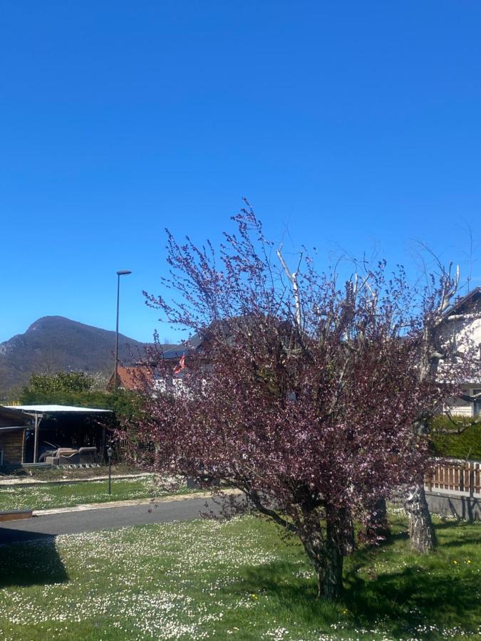APPARTEMENT COSY 40 m2, climatisé, parking gratuit - Chambres d’hôtes