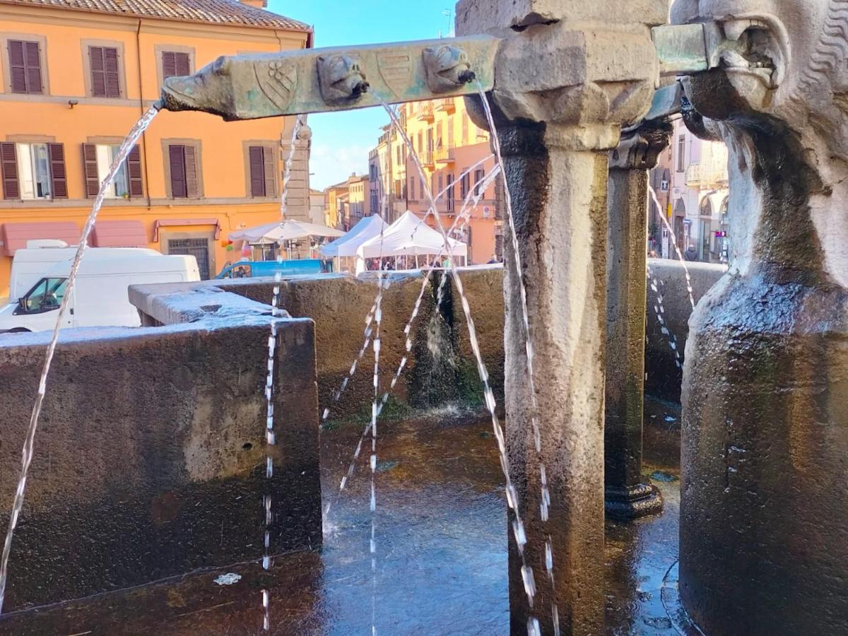 Residenza del Sepale - B&B Viterbo