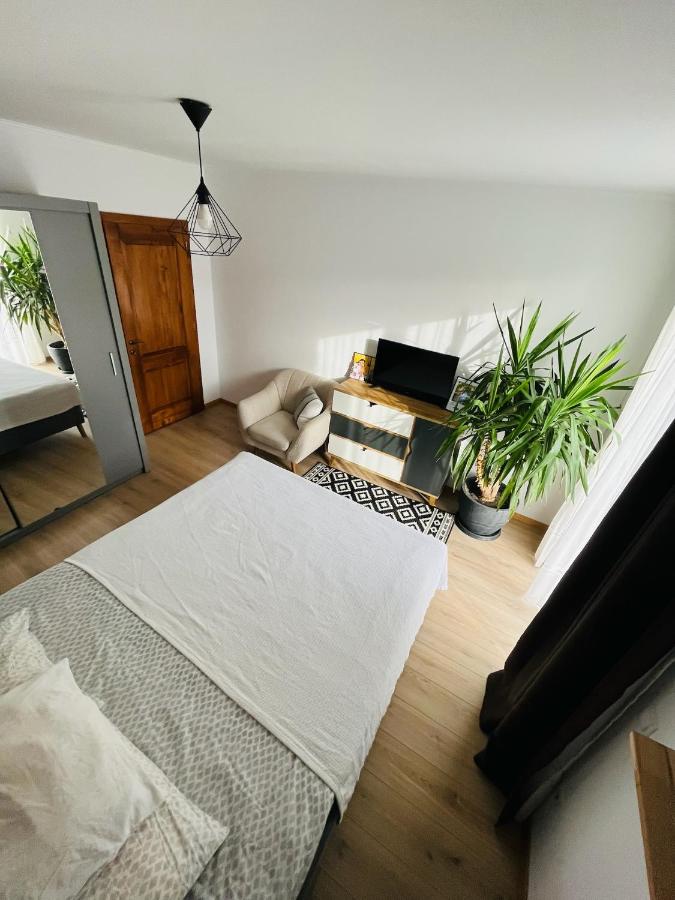Appartamento con 1 Camera da Letto