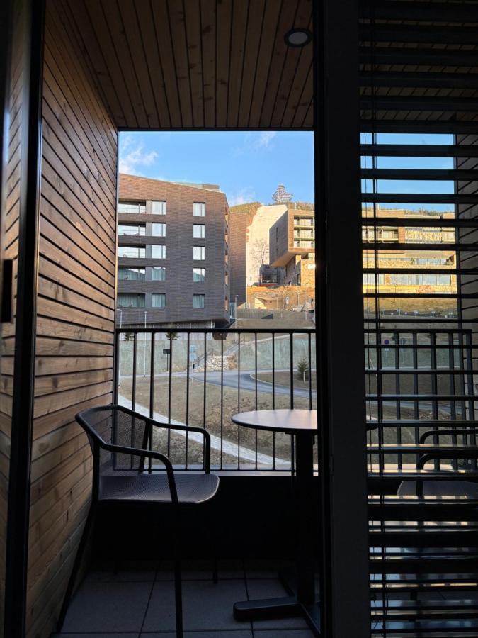 Apartment with a view of the ski slope - B&B Dolní Morava