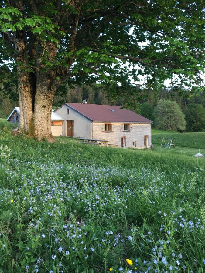 Gîte rural le four à pain dans le parc naturel du Haut Jura - Ferienwohnung