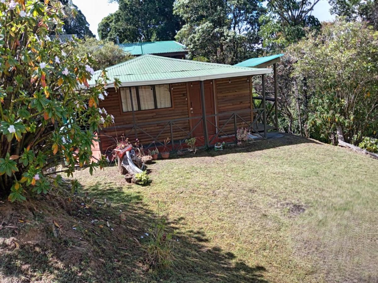 Cabaña 10 - B&B