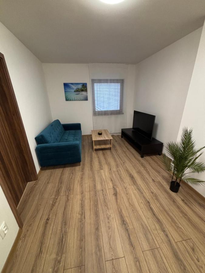 Veľký Rodinný apartmán v srdci mesta - Bed and Breakfast